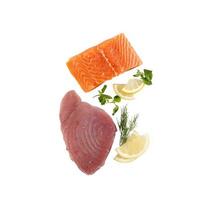 saumon frais et thon isolé sur fond blanc avec découpe photo