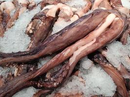 pattes de poulpe sur glace, vente sur le marché. photo