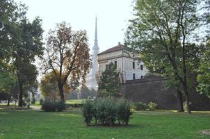 taupe antonelliana turin photo