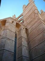 la cathédrale de la seu à palma de majorque photo