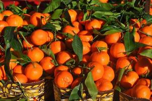 nourriture aux fruits de mandarine photo