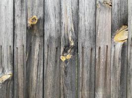 fond de mur en bois. toile de fond de clôture. planche en bois photo