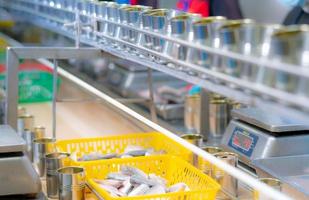 usine de conserves de poisson. industrie alimentaire. sardines dans un panier en plastique jaune attendant que le travailleur remplisse des boîtes de conserve. chaîne de production agro-alimentaire. l'industrie agroalimentaire. beaucoup peuvent sur tapis roulant