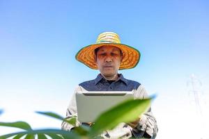 fermier intelligent un homme asiatique utilise une tablette pour analyser les cultures qu'il cultive dans sa ferme pendant la journée. photo