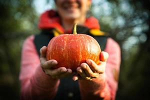 citrouille ronde orange dans les mains des femmes sur fond vert foncé. fête des récoltes d'automne, agriculture, jardinage, action de grâces, halloween. ambiance chaleureuse, produits naturels. espace pour le texte photo