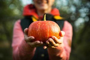 citrouille ronde orange dans les mains des femmes sur fond vert foncé. fête des récoltes d'automne, agriculture, jardinage, action de grâces, halloween. ambiance chaleureuse, produits naturels. espace pour le texte photo