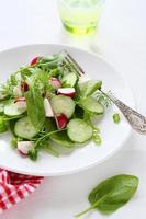 salade fraîche au radis photo