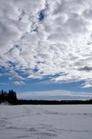 l'hiver au bord du lac photo