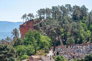 un paysage rural avec des plantes par une journée ensoleillée photo