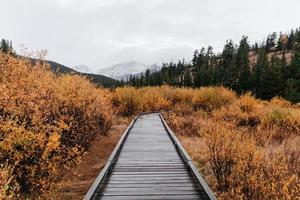 chemin en bois à l'extérieur photo