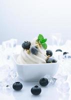 yaourt aux bleuets surgelé photo
