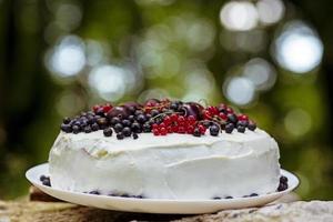 gâteau aux fruits frais photo