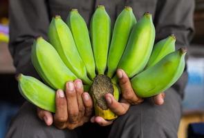 mains mâles de banane verte