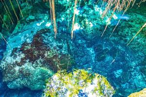 eau bleu turquoise grotte calcaire gouffre cenote tajma ha mexico. photo