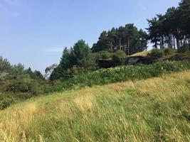 une vue sur la campagne du cheshire à carden photo