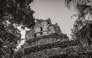 ancien site maya avec temple ruines pyramides artefacts muyil mexique. photo