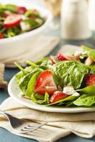 salade balsamique fraise bio