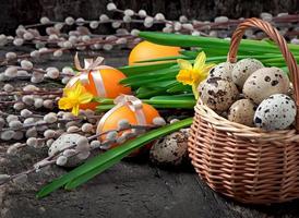 Oeufs de Pâques colorés sur fond de bois ancien photo