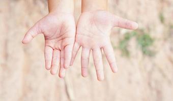 les mains des enfants sont tendues, touchant la nature. photo