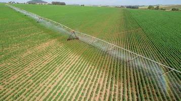 système d'irrigation agricole le jour d'été ensoleillé. une vue aérienne d'un système de gicleurs à pivot central. photo
