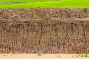 l'érosion hydrique des sols de paddy. photo