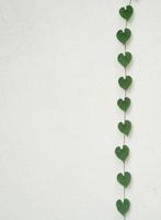 feuilles en forme de coeur sur mur blanc photo