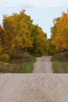 route de campagne dans les prairies canadiennes à l'automne. photo