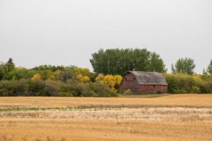 Grange abandonnée dans les régions rurales de la Saskatchewan, Canada photo