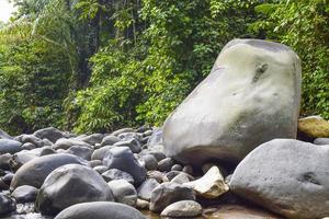 gros rocher dans la rivière au milieu de la forêt photo