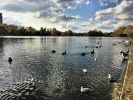 une vue de quelques oiseaux sur un lac à Londres photo