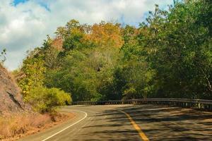 couleur route et forêt des deux côtés photo