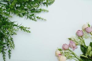 compositions florales. motif composé de feuilles fraîches sur fond blanc. mise à plat, vue de dessus, espace de copie photo