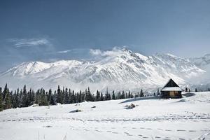 montagnes de tatra en hiver photo