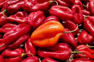 pile de piments habanero sur un étal de marché photo