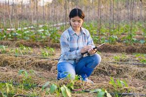 une femme asiatique utilise une tablette pour vérifier les informations sur la culture des légumes dans le jardin photo