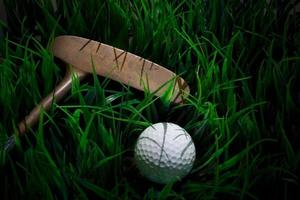 balle de golf et putter sur champ vert photo