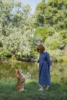 jeune femme en robe rétro avec drôle de chien corgi sur le pique-nique photo