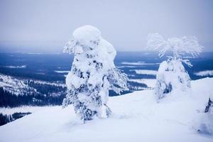 beau paysage d'hiver scandinave ensoleillé vibrant de station de ski