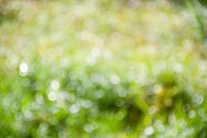 la lumière du jour défocalisée et abstraite des gouttes de rosée sur le dessus de l'herbe le matin est la beauté. vert vif coloré avec bokeh à partir d'un arrière-plan flou dans le jardin avec des images de paysage chaque été photo