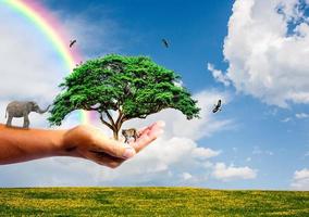 le concept de sauver le monde, de protéger l'environnement. arbre à la main pour le changement photo