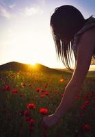 yong brunette caucasian woman pick fleur de pavot avec un magnifique fond de coucher de soleil à l'extérieur photo