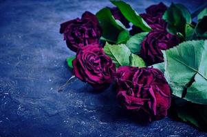 bouquet de roses rouges fanées est jeté sur le sol sale.