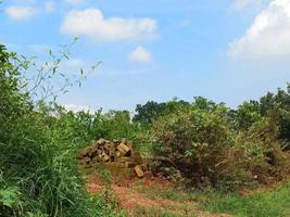 verdure nature jardin paysage écologique avec ferme, fleurs, soleil, cascade, jardinage de la terre jour été fond photographie images naturelles photo