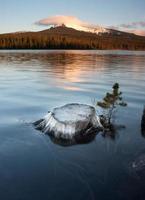 moignon partiellement submergé au bord du lac grand lac mt washington oregon photo