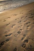 une empreinte de pas inconnue sur la plage de brighton beach de melbourne, australie. photo