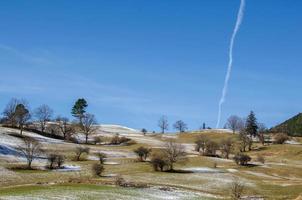 divers arbres sur la montagne photo