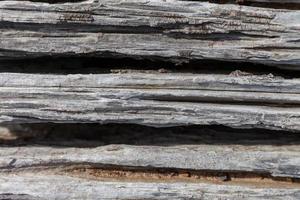 texture bois ancien, naturel vintage