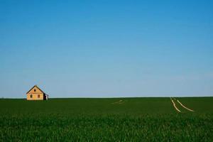 une maison isolée dans un champ vert photo