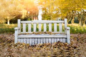 banc vintage blanc dans le parc d'automne photo