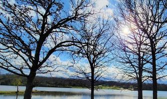 premiers signes du printemps photo